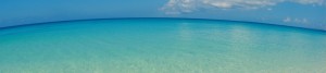 top_bg1